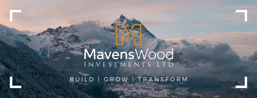 MavensWood Investments Banner , Private Equity Services